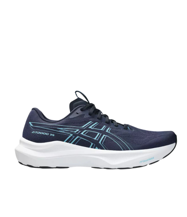 Asics M GT-2000 V14
