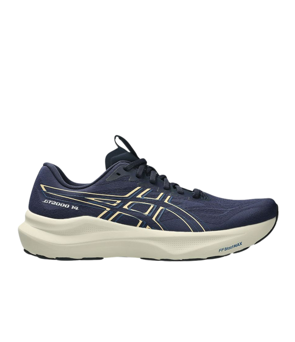 Asics M GT-2000 V14