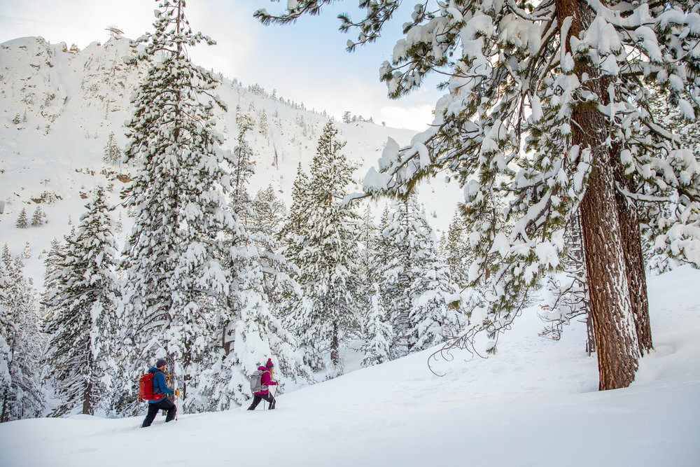 snowshoeing north lake tahoe