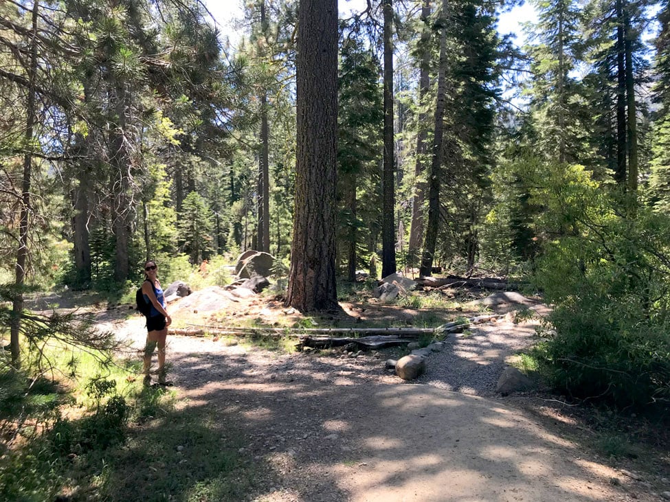 Donner Summit Canyon