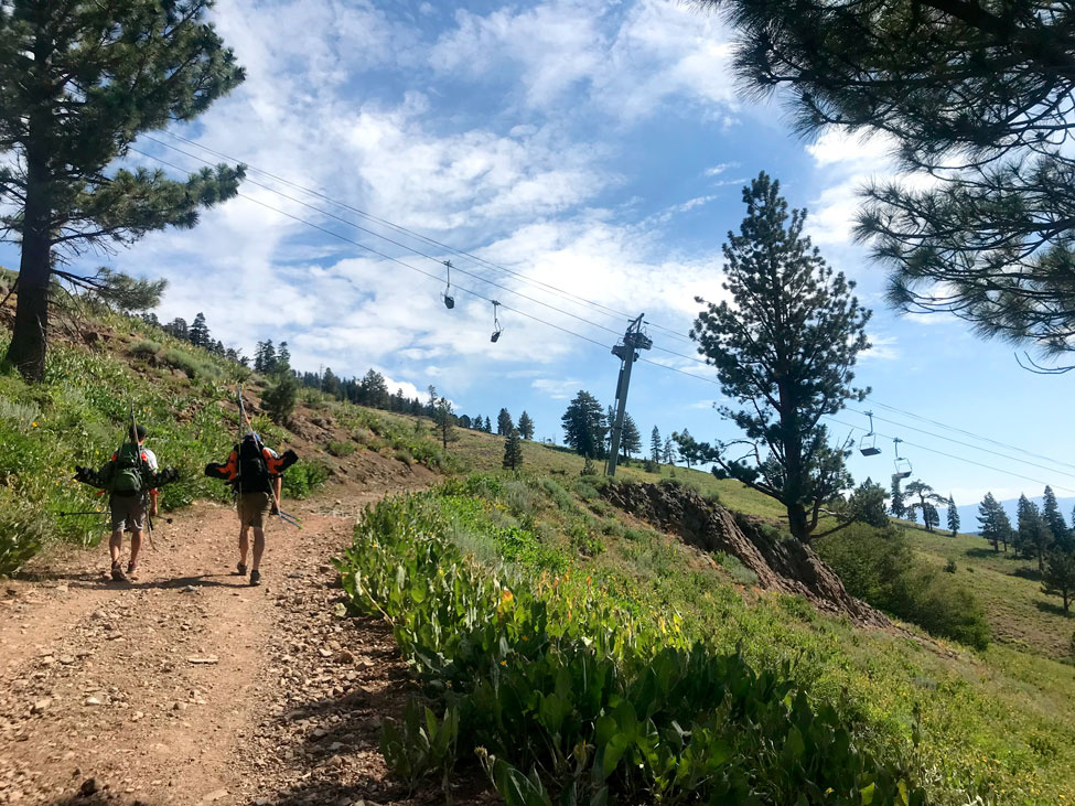 Top of Alpine Meadows Hike