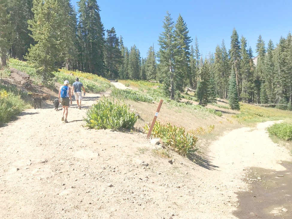 Pacific Crest Trail Fork