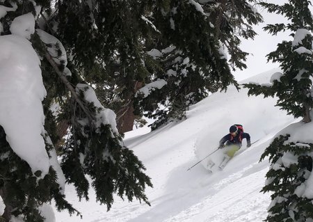 Backcountry Skiing - Top 5 Priorities Before You Go