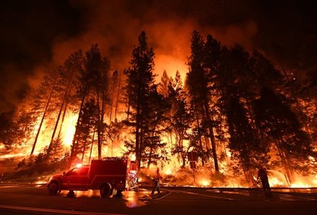California Wildfire Resources: How You Can Help and Stay Safe