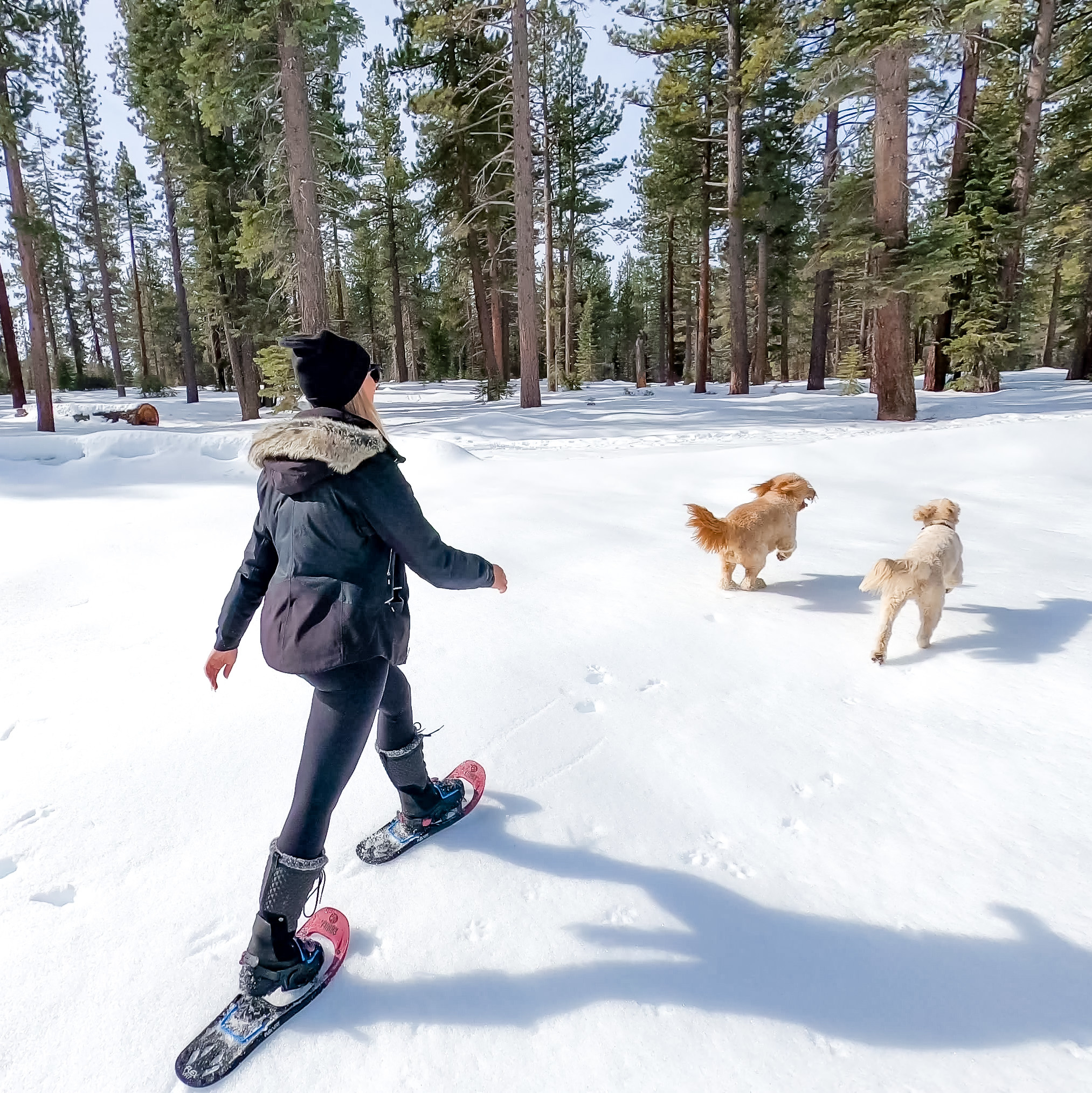 3 Incredible Snowshoe Trails Off 89 to Try this Winter