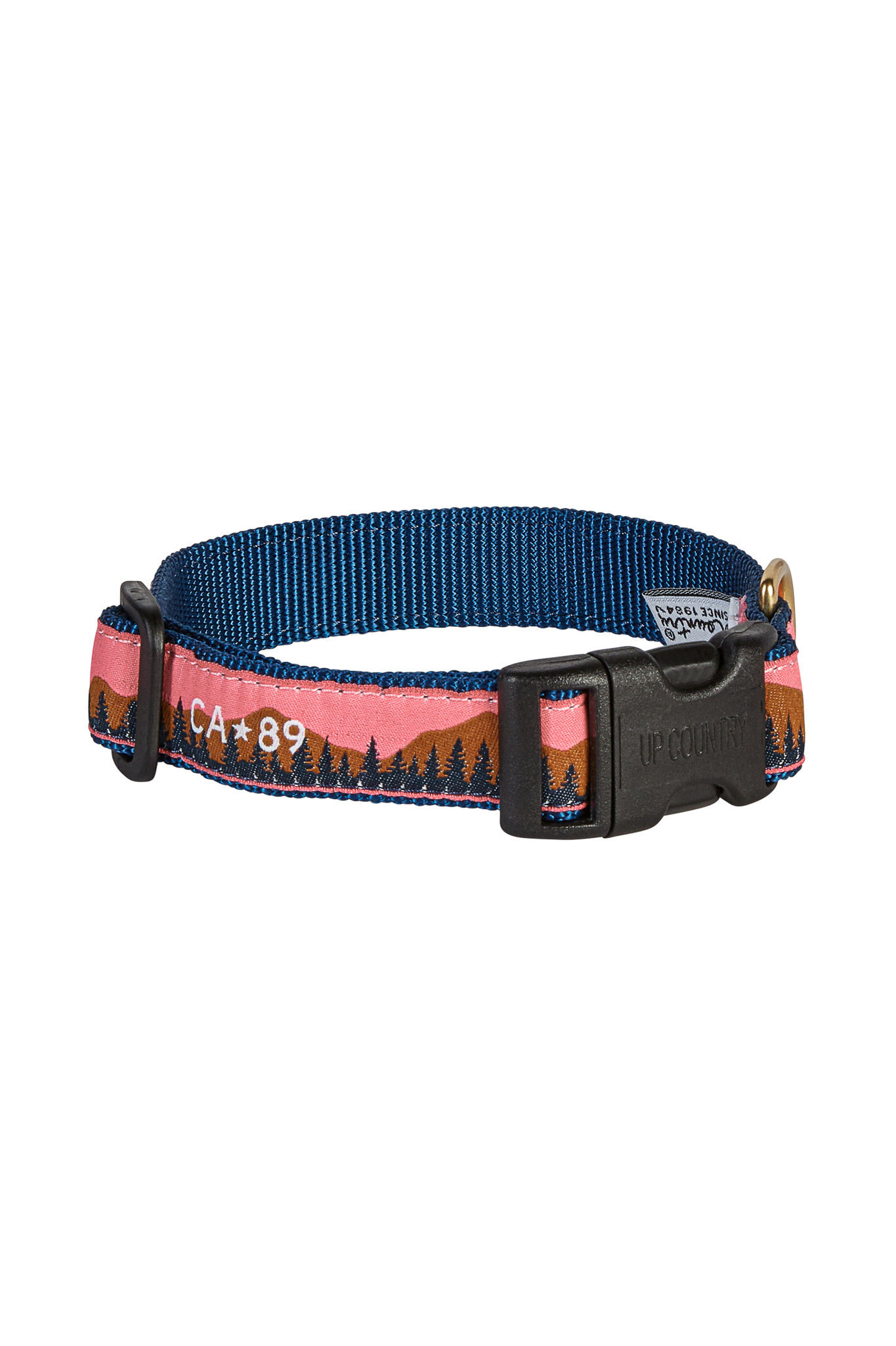 Fishing Dog Collar 