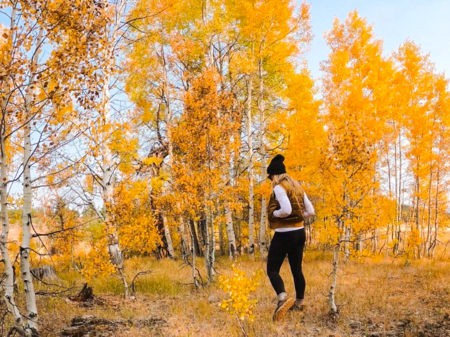Where to see fall colors on Highway 89