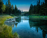 Earth Day - How we can all help