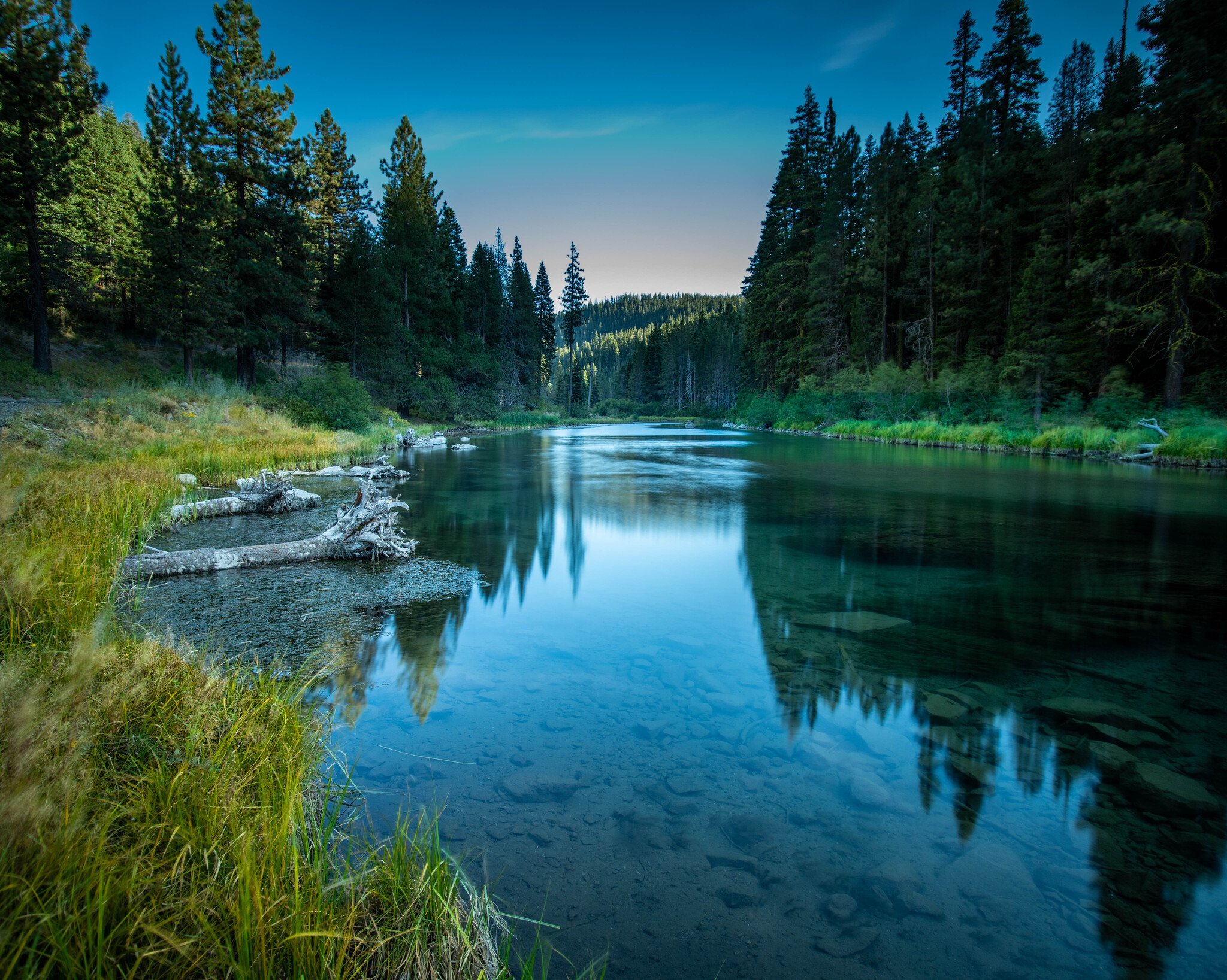 Earth Day - How we can all help