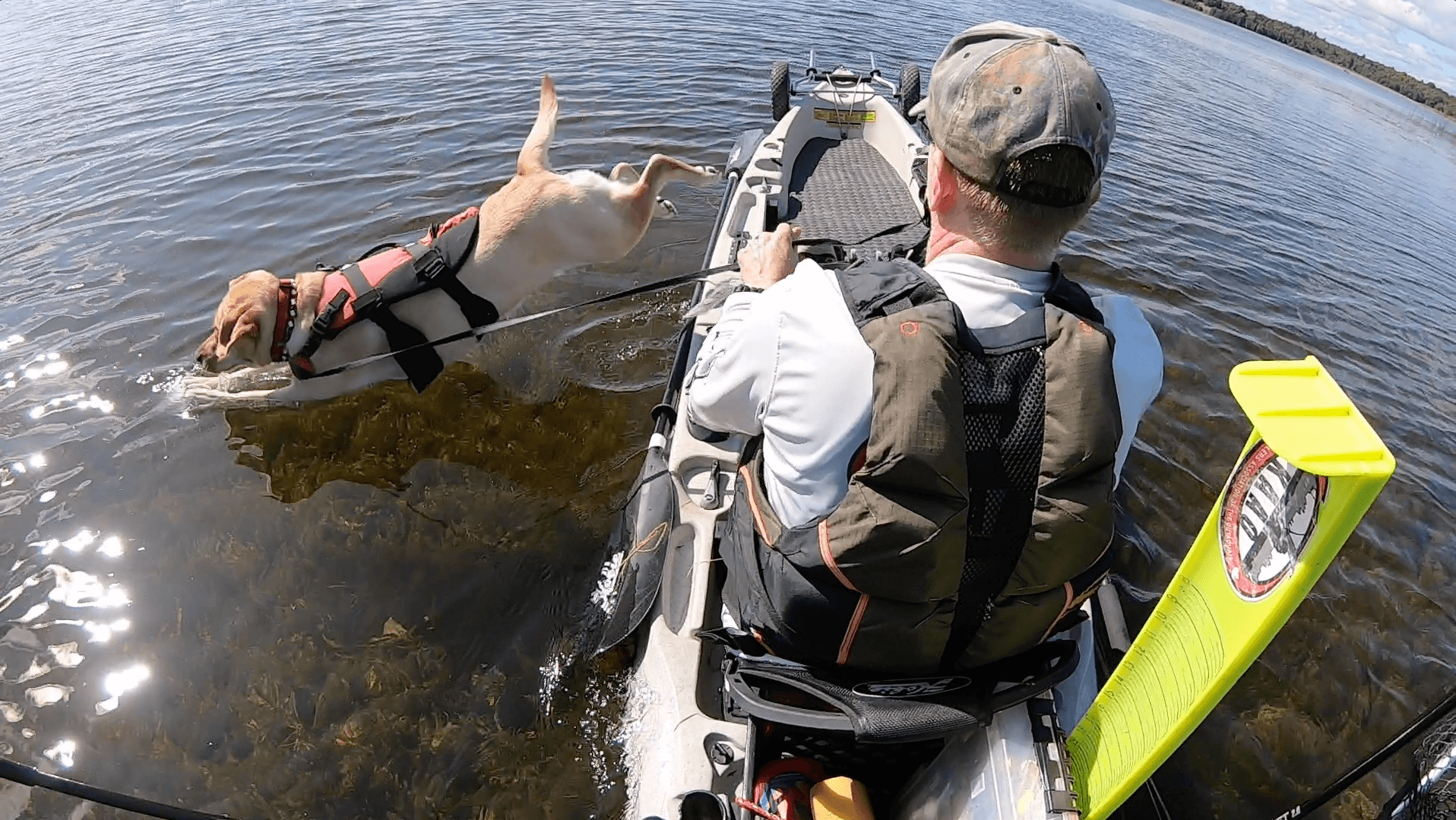 Kayak Fishing Untouched Bass and Bluegills [VLOG] - Wired2Fish