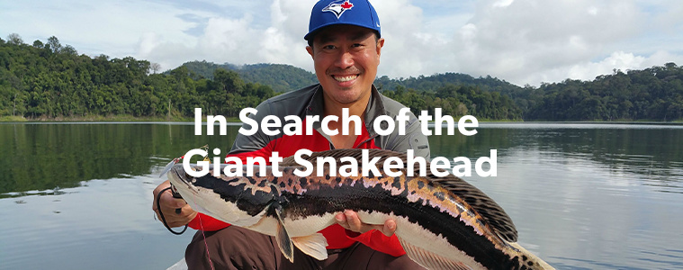 Trailhead Blog - In Search of the Giant Snakehead - Trailhead Paddle Shack