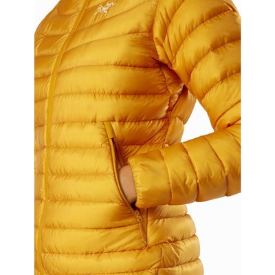 Arc'teryx Cerium LT Hoody Women's 