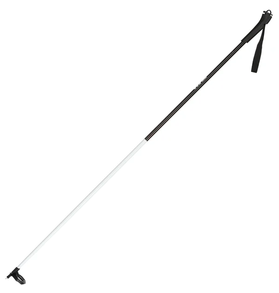 Rossignol Rossignol FT-500 Ski Pole