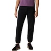 Mountain Hardwear Yumalina Fleeced Lined Pant Women's
