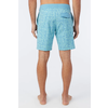 O'Neill O'Neill OG Cruzer Boardshort Men's