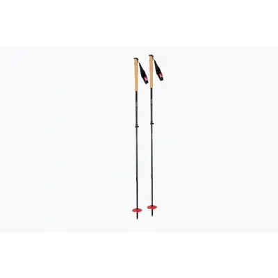 DPS DPS Carbon UL Adjustable Ski Pole