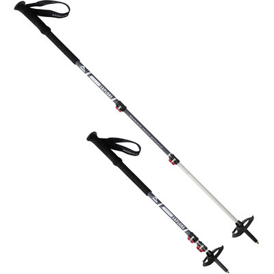 MSR DynaLock Explore Snowshoe Poles