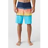 O'Neill Lennox Stripe Boardshort 21" Men's