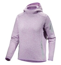 Arcteryx Arc'teryx Covert Pullover Hoody Women's (Past Season)