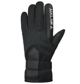 Auclair Auclair Lillehammer Glove Women's