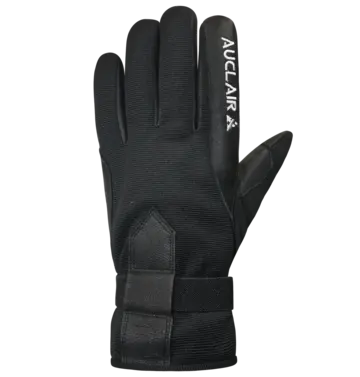 Auclair Auclair Lillehammer Glove Women's