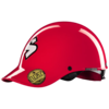 Sweet Protection Strutter Helmet