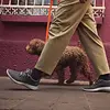 Allbirds Wool Runner Shoe Men's