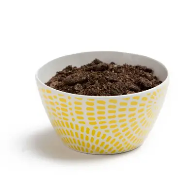 Backpackers Pantry Dark Chocolate Mousse Mix With Cookie Crumbs