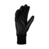 Daehlie Motion Glove Men's
