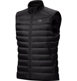 Arc'teryx Arc'teryx Cerium Vest Men's