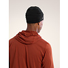 Arc'teryx Rho Toque