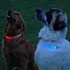 Nite Ize Nitehowl Max Rechargeable LED Safety Necklace
