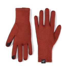 Arc'teryx Arc'teryx Gothic Glove