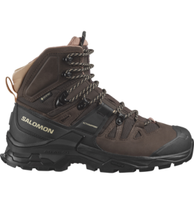 Salomon Salomon Quest 4 GTX Hiking Boot Women's