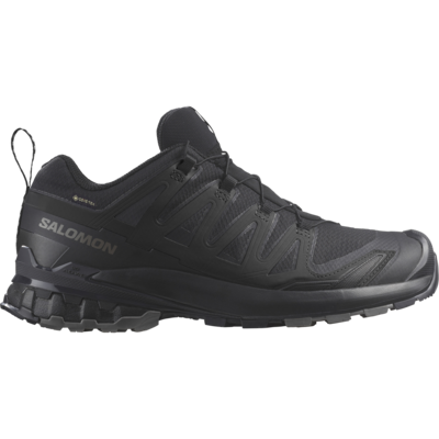 Salomon XA Pro 3D V9 GTX Hiking Shoe Men's