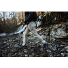 Salomon Elixir Tour Waterproof Shoe Women's