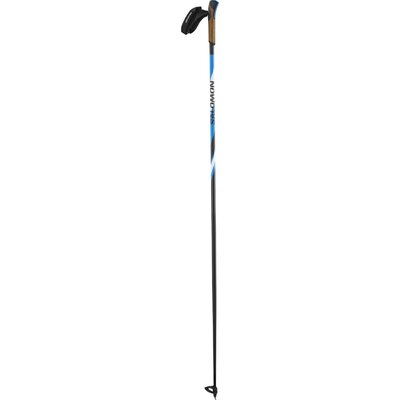 Salomon R 30 Click Ski Pole