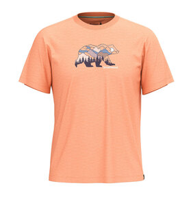 Smartwool Smartwool Bear View Short Sleeve Shirt Men's