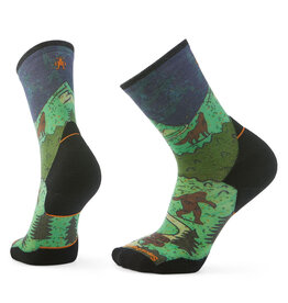 Smartwool Smartwool Targeted Cushion Neature Print Trail Run Crew Socks 2693
