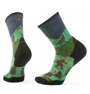 Smartwool Smartwool Run Targeted Cushion Neature Print Trail Crew Sock Men's 2693