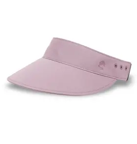 Sunday Afternoon Sunday Afternoons Sunward Visor