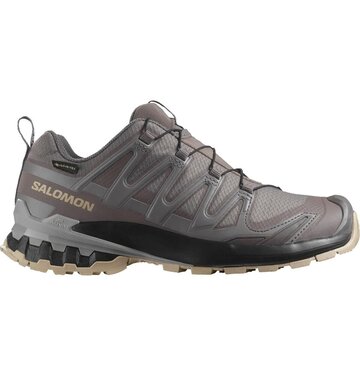 Salomon Salomon XA Pro 3D V9 GTX Hiking Shoe Women's