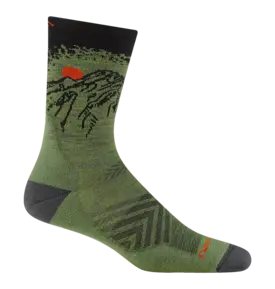 Darn Tough Darn Tough Vert Cushioned Ultra-Lightweight Running Micro Crew Sock Men's 1066