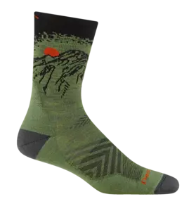 Darn Tough Darn Tough Vert Cushioned Ultra-Lightweight Running Micro Crew Sock Men's 1066