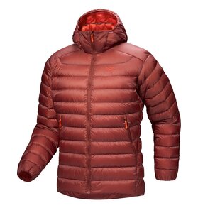 Arc'teryx Arc'teryx Cerium Hoody Men's (Past Season)