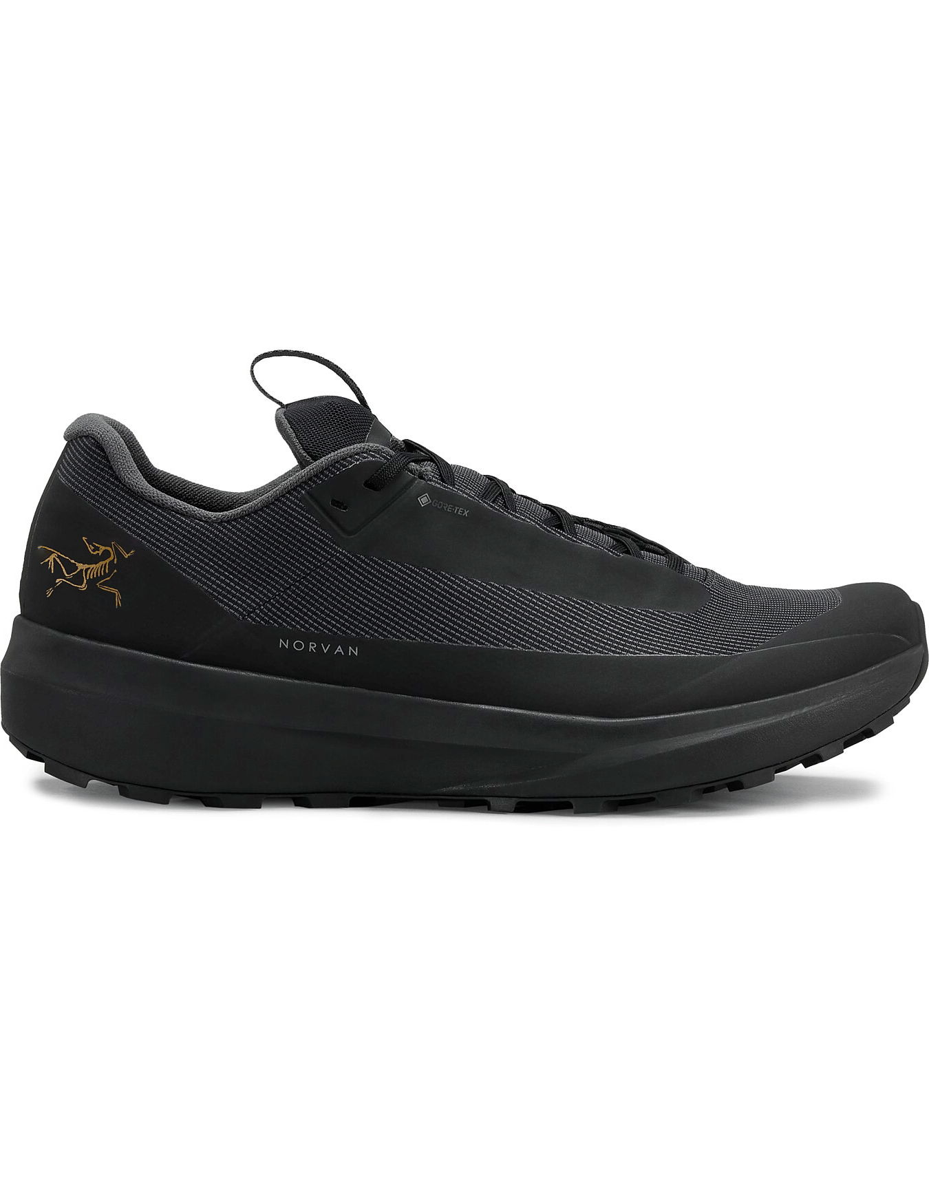 [8/31~9/4迄]
チンチラZERO 高機能カーテン Norvan LD 4 GTX Shoe Men's | Arc'teryx Outlet