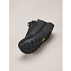 Arc'teryx Norvan LD 4 GTX Shoe Men's