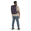 Osprey Hikelite 26 Backpack