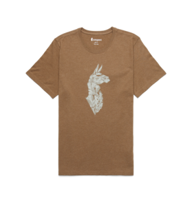 Cotopaxi Cotopaxi Into The Pines T-Shirt Men's
