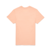 Cotopaxi Llama Block T-Shirt Women's